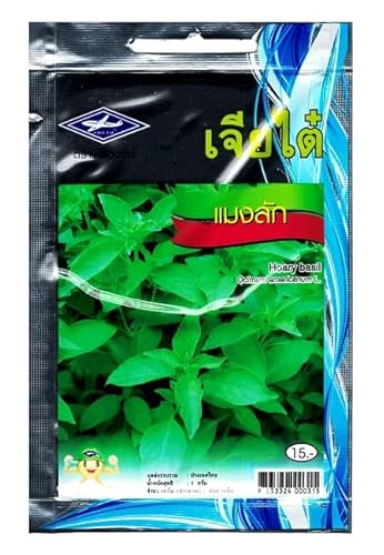 Chia Tai Gartensamen, Basilikum-Zitrone Hoary Basil, 600 Samen von Garden at Home