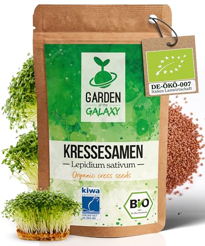 GotG® Bio Ur-Brokkoli Samen [25g, 200g & 500g] Brokkolisamen mit hohem Sulforaphan Gehalt dank Sorte "Brassica rapa sylvestris" bis zu 99% Keimrate - Premium Brokkoli Sprossen zum Keimsprossen ziehen von Garden of the Galaxy