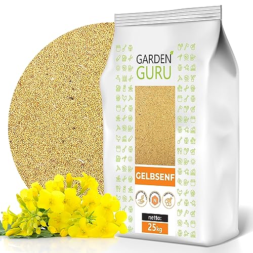 GELBSENF 25 kg Saatgut Senf gelb Senfsaat TOP Gründünger Bienenweide Pollen von GardenGuru