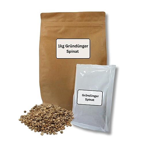 GardenTaurus® natürlicher Gründünger Spinat, 400g für 40m², Saatgut mit doppeltem Nutzen, essbarer Gründünger - Vorteilspack, verbessert die Bodenstruktur, gibt Nährstoffe frei von GardenTaurus