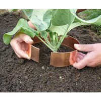 Schneckenring Kupfer 6Er Set No. 818 von GardenToolBrothers