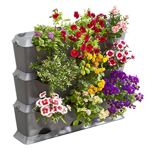 Gardena NatureUp! Basis Set Vertikal: Pflanzenwand zur vertikalen Begrünung von Balkon/Terrassen/Innenhöfen, Basisset für 9 Pflanzen, erweiterbares Stecksystem mit Klipps, wetterbeständig (13150-20) Gardena NatureUp! Basis Set Vertikal: Pflanzenwand zur vertikalen Begrünung von Balkon/Terrassen/Innenhöfen, Basisset für 9 Pflanzen, erweiterbares Stecksystem mit Klipps, wetterbeständig (13150-20) von Gardena