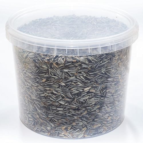 Gärtners Traum Elite Gestreifte Sonnenblumenkerne - Energetische Saatgut-Mischung für Verschiedene Vogelarten - Optimal für Futterstellen im Freien Gärtners Traum Elite Gestreifte Sonnenblumenkerne - Energetische Saatgut-Mischung für Verschiedene Vogelarten - Optimal für Futterstellen im Freien von GardenersDream