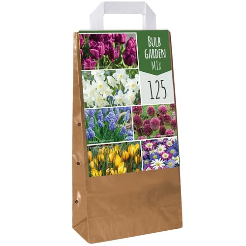 Glühbirgengarten-Mix - Tulpe, Anemone, Krokus, Muscari, Narzisse, Allium, blühende Zwiebeln (125 Zwiebeln) von GardenersDream