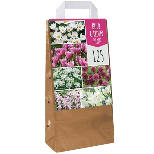 Glühbirgengarten Pink Tulpe Allium Krokus Chionodoxa Allium Narzisse Blühende Zwiebeln (125 Zwiebeln) von GardenersDream