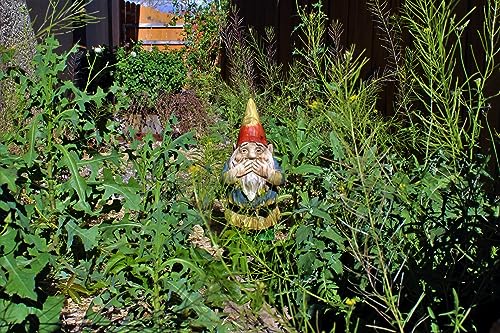 50 qm Unkrautsamen schnell wachsend als Geschenkidee oder für den eigenen Garten Brennessel Löwenzahn Klee Kümmel wundervoll wuchernde Wildpflanzen. 13.600 Samen von Gardenox