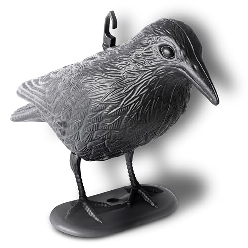 GARDIGO® Taubenabwehr Rabe I Raben Attrappe aus Kunststoff | Taubenschreck Rabe Fliegend & Sitzend | Krähe Attrappe zur Vogelabwehr mit Aufhängung | Tauben vertreiben | Vogelschreck von Gardigo