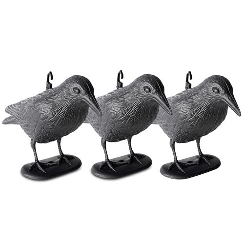 GARDIGO® Taubenabwehr Rabe 3er Set I Taubenschreck Rabe mit Aufhängung | Fliegend & Sitzend | Raben Attrappe aus Kunststoff | Krähe Attrappe zur Vogelabwehr | Tauben vertreiben | Vogelschreck GARDIGO® Taubenabwehr Rabe 3er Set I Taubenschreck Rabe mit Aufhängung | Fliegend & Sitzend | Raben Attrappe aus Kunststoff | Krähe Attrappe zur Vogelabwehr | Tauben vertreiben | Vogelschreck von Gardigo