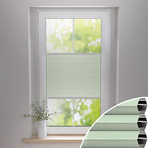Gardinen21 Thermo Wabenplissee ohne Bohren | Waben-Plissee Klemmfix | Plissee 45x220 für Türen & Fenster | Sonnenschutz, Sichtschutz, Schallschutz, 100% Verdunkelung Gardinen21 Thermo Wabenplissee ohne Bohren | Waben-Plissee Klemmfix | Plissee 45x220 für Türen & Fenster | Sonnenschutz, Sichtschutz, Schallschutz, 100% Verdunkelung von Gardinen21