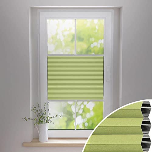 Gardinen21 Thermo Wabenplissee zum Kleben | Waben Plissee im Wunschmaß | Maßgefertigt für Türen & Fenster | Sonnenschutz, Sichtschutz, Schallschutz, 100% Verdunkelung Gardinen21 Thermo Wabenplissee zum Kleben | Waben Plissee im Wunschmaß | Maßgefertigt für Türen & Fenster | Sonnenschutz, Sichtschutz, Schallschutz, 100% Verdunkelung von Gardinen21