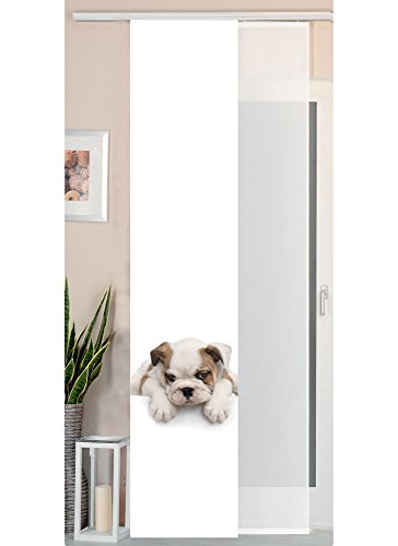 Gardinenbox 2er Set Schiebegardine Flächenvorhang Wildseide Optik und Voile Paneel, 245x45, Welpe, 80400 Gardinenbox 2er Set Schiebegardine Flächenvorhang Wildseide Optik und Voile Paneel, 245x45, Welpe, 80400 von Gardinenbox