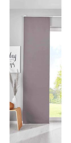 Gardinenbox Verdunkelung Schiebegardine »Newyork« HxB 245x60 cm Dunkelgrau Flächenvorhang Paneelwagen Blickdicht Thermo-Schiebevorhang, 202020680 von Gardinenbox