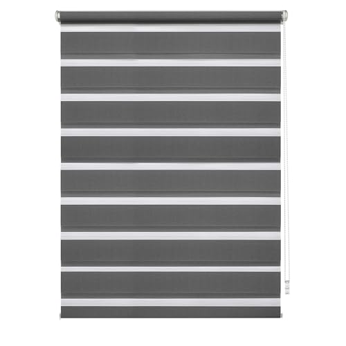 EASYFIX Doppelrollo mit Montageschiene anthrazit 75x150 EASYFIX Doppelrollo mit Montageschiene anthrazit 75x150 von Gardinia
