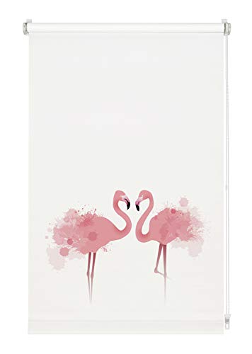 GARDINIA Rollo ohne Bohren, Zum Klemmen, Blickdicht, Sichtschutz, Blendschutz, Inkl. aller Montage-Teile, Digiprint Flamingo, Weiß/Dekor, 100 x 150 cm von Gardinia