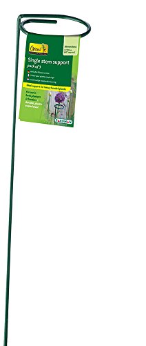 Gardman 3 Pflanzstäbe, 1 m von Gardman