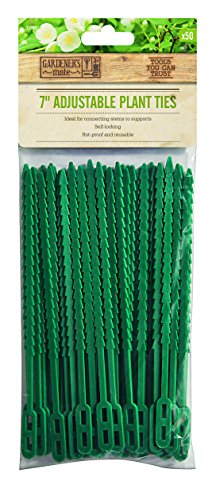 Gardman Verstellbare Pflanzenbinder, 18 cm, 50-er Pack von Gardman