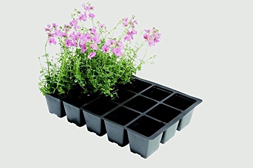 Garland Professional Seed Tray Inserts Pack 5 15 Cell - W0010 von Garland