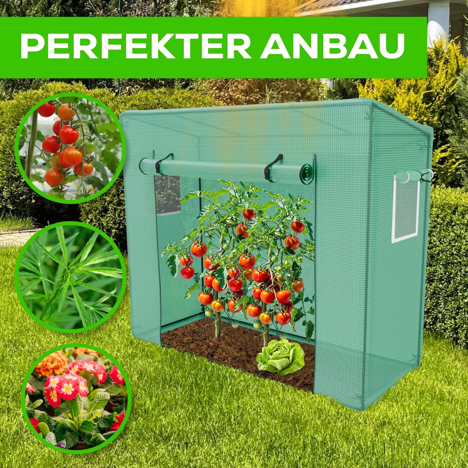 Garmio Foliengewaechshaus Cutro Tomatenzelt Winterfest 2X077X169M Frühbeet Pflanzenhaus Gemüse Und Obsthochbeet Garmio Foliengewaechshaus Cutro Tomatenzelt Winterfest 2X077X169M Frühbeet Pflanzenhaus Gemüse Und Obsthochbeet von Garmio