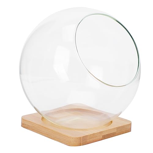 Garneck 1 Satz Glasblumengefäße für Sukkulenten Kreative Micro Landschaftsflasche für Dekorative Pflanzen mit Bambusunterlage für Terrarien und Wohnraumgestaltung Garneck 1 Satz Glasblumengefäße für Sukkulenten Kreative Micro Landschaftsflasche für Dekorative Pflanzen mit Bambusunterlage für Terrarien und Wohnraumgestaltung von Garneck