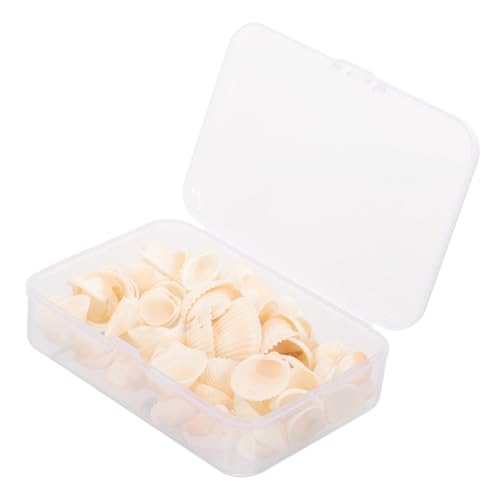 Garneck Muscheln Basteln Satz 1 Kasten Natur Dekorative Muscheln Für Selbstgemacht Kleine Für Nautische Dekoration Zum Basteln Für Aquarien Und Schmuckherstellung von Garneck