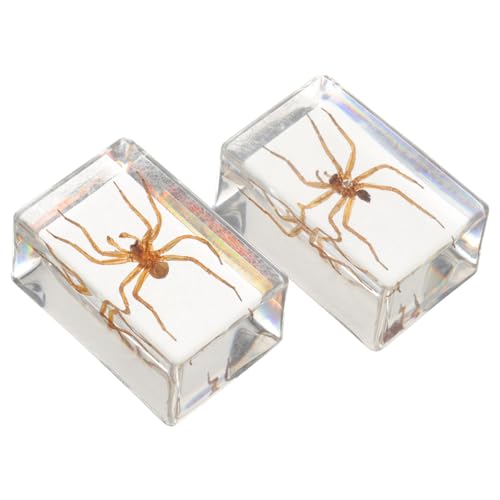 Garneck 2 Stück Transparenter Briefbeschwerer Spinnen Motiv Handgefertigt Insekten Dekoration Natürliche Optik Stabil Vielseitig Für Schreibtisch und Bücherregal von Garneck