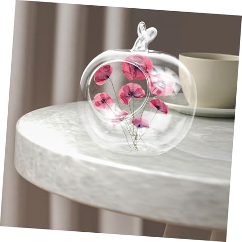 Garneck 3stücke Hydrokulturflasche Aus Glas Apfelförmig Transparent Für Tisch Dekoration Gewächshausflasche Pflanzgefäß Mikro-Landschaft Heimbüro-Dekoration Garneck 3stücke Hydrokulturflasche Aus Glas Apfelförmig Transparent Für Tisch Dekoration Gewächshausflasche Pflanzgefäß Mikro-Landschaft Heimbüro-Dekoration von Garneck