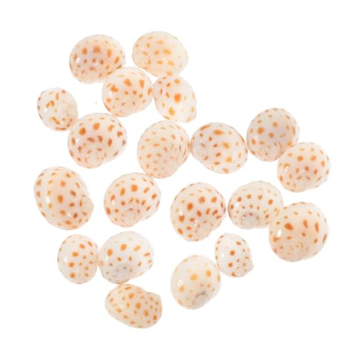 Garneck 40stücke Natur Conch Shell Deko Für Aquarium DIY Meer Muschel Handwerk Schmuck Design Garten Ornament von Garneck
