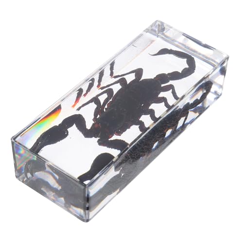 Garneck Klarer Acryl Briefbeschwerer Wissenschaftliches Insektenpräparat für Klassenzimmer Transparente Sammlung Büro Bildungsdekor Naturgetreues Exemplar für Biologieunterricht Garneck Klarer Acryl Briefbeschwerer Wissenschaftliches Insektenpräparat für Klassenzimmer Transparente Sammlung Büro Bildungsdekor Naturgetreues Exemplar für Biologieunterricht von Garneck