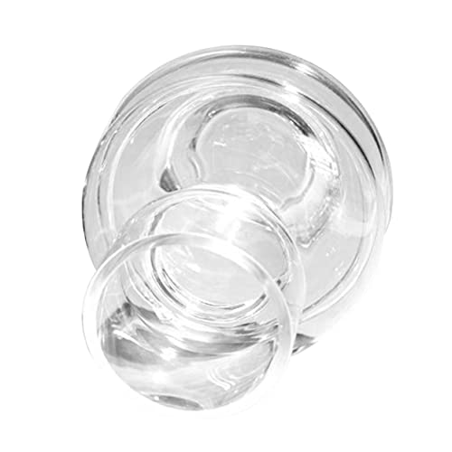 Garneck Transparente Glasvase Nordic Stil Kreative Hydroponik Flasche Kompakte Desktop Blumenvase Dekoratives Wohnaccessoire für Wohnzimmer und Büro Stilvolle Geschenkidee von Garneck