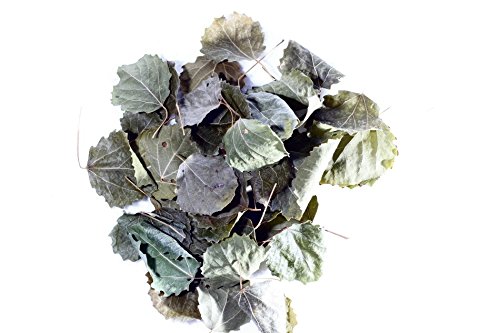Espen Laubblätter (grün getrocknet), 30 Blätter - Garnelen- Wasserschnecken- und Krebsfutter von Garnelen Tom
