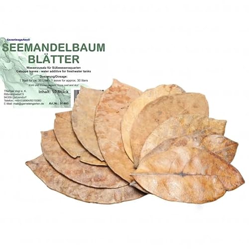 Garnelengarten Seemandelbaumblätter, 10 Stück, Wasserzusatz für Süßwasseraquarien, 1 Blatt für ca. 30 Liter Garnelengarten Seemandelbaumblätter, 10 Stück, Wasserzusatz für Süßwasseraquarien, 1 Blatt für ca. 30 Liter von Garnelengarten