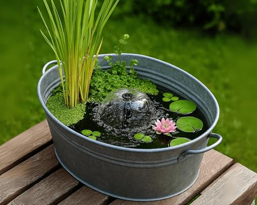 Miniteich Pflanzen Set - Seerose Nymphaea Sulphurea vorgezogen in Kokosfaser - 3 Schwimmpflanzen - Seerosen-Dünger 25 Kapseln - Perfekt für Zinkwanne & Kübel - Pinke Seerose von Garnelio