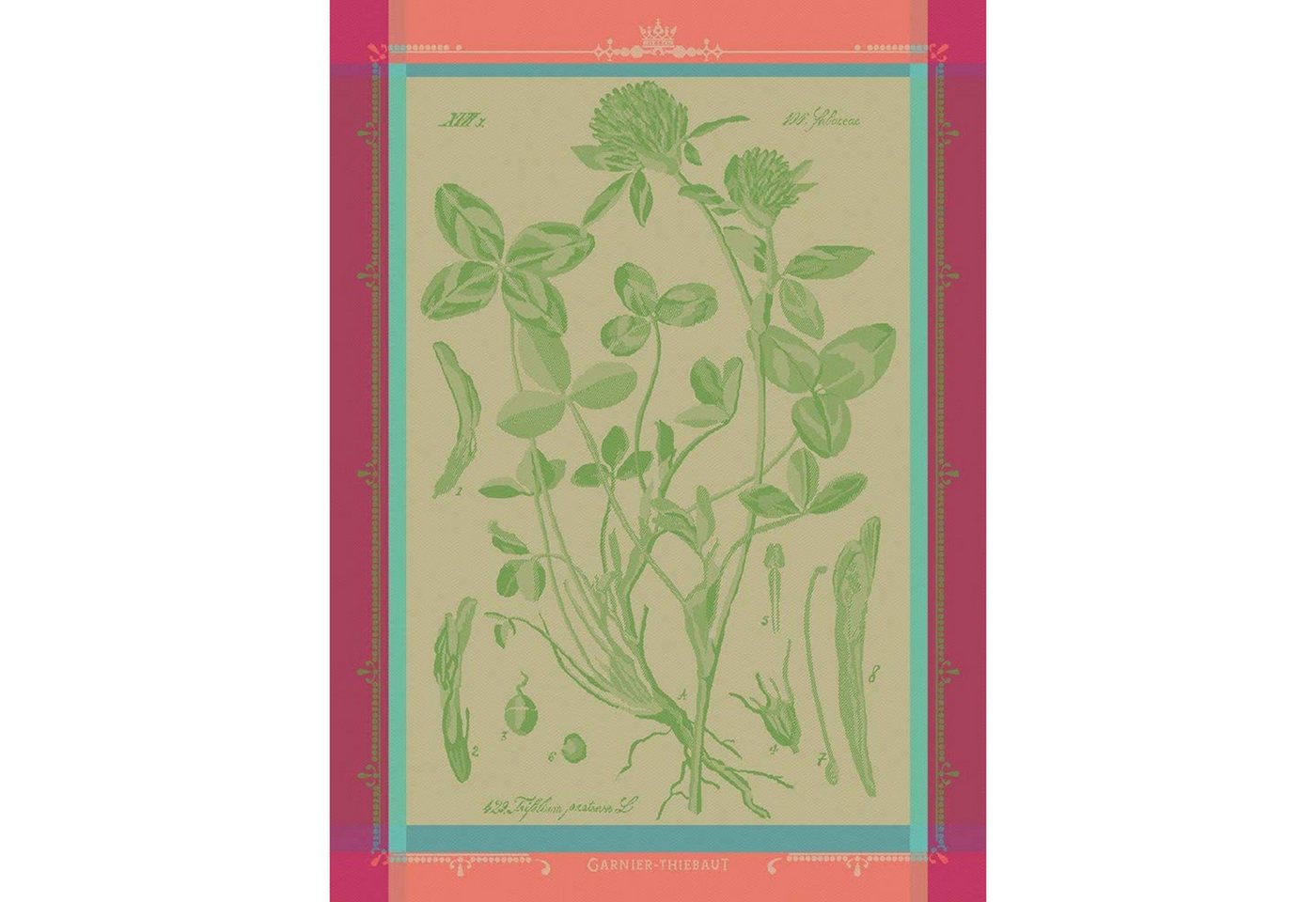 Garnier Thiebaut Geschirrtuch Fleurs de Trèfle Chlorophylle von Garnier Thiebaut Garnier Thiebaut Geschirrtuch Fleurs de Trèfle Chlorophylle von Garnier Thiebaut von Garnier Thiebaut