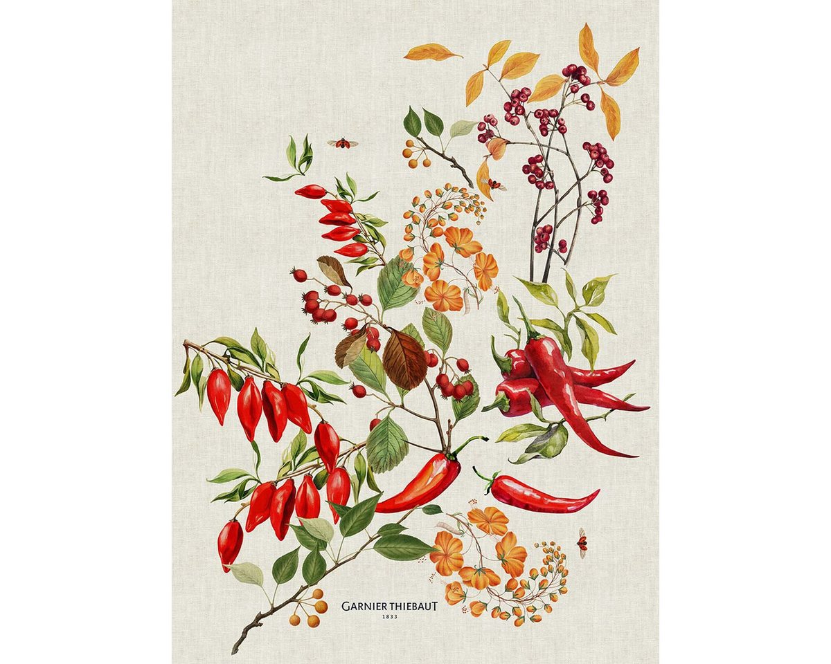 Garnier Thiebaut Geschirrtuch Geschirrtuch Piments Doux Epices 50x70 cm, (1-tlg., 1 x Geschirrtuch), bedruckt von Garnier Thiebaut