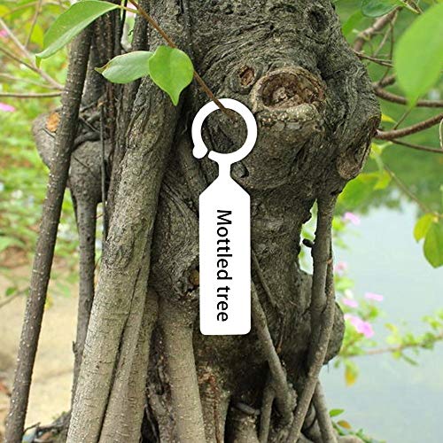 100 Stücke Wasserdichte Pflanze Baum Tags Starke Kunststoff Garten Hängen Etiketten Kindergarten Sämling Marker (White) von Garosa