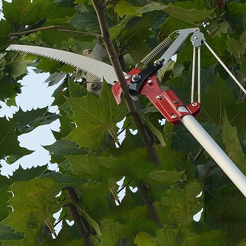 4 Sharp Garten Astschere Obst Picker Harvester Stippsäge Trimmer Clipper Trimmen Werkzeug ohne Pol 4 Sharp Garten Astschere Obst Picker Harvester Stippsäge Trimmer Clipper Trimmen Werkzeug ohne Pol von Garosa