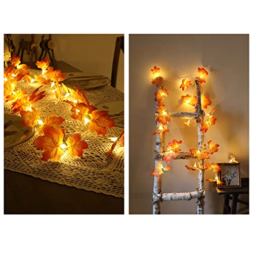 Herbstdekor Maple Leaf Girlande 9.8 Ft LED Herbstlaub Girlande mit Lichtern 3AA Batteriebetrieben für Thanksgiving Halloween Decor,Garten Licht von Garosa