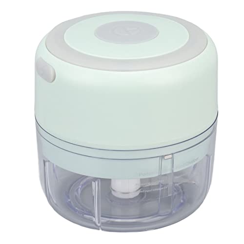 Mini Elektrischer Knoblauchzerkleinerer USB Wiederaufladbare Mini Küchenmaschine 100ml Edelstahl Knoblauchstampfer für Zwiebel Chili Fleisch Nüsse Obst Pfeffer Gemüsestampfer Grün von Garosa