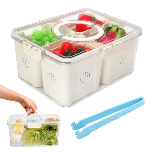Snackbox mit Fächern, Transparente Snackteller mit Deckel und Griff Geteiltes Frischhaltebox Wiederverwendbar für Kühlschrank Durchsichtiger Organizer für Süßigkeiten, Obst, Nüsse, Snacks (4-Fachern) von Garqitwan