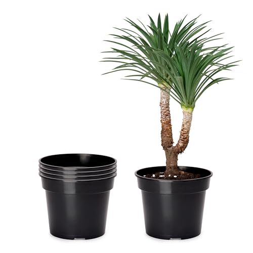Garronda Blumentopf Kunststoff Pflanztopf rund Kräutertopf Anzuchttöpfe Blumentopf Schwarz für Innen und Aussen 48cm GD-0025 (5 Stück - Schwarz, ⌀ 48cm H=43cm) von Garronda