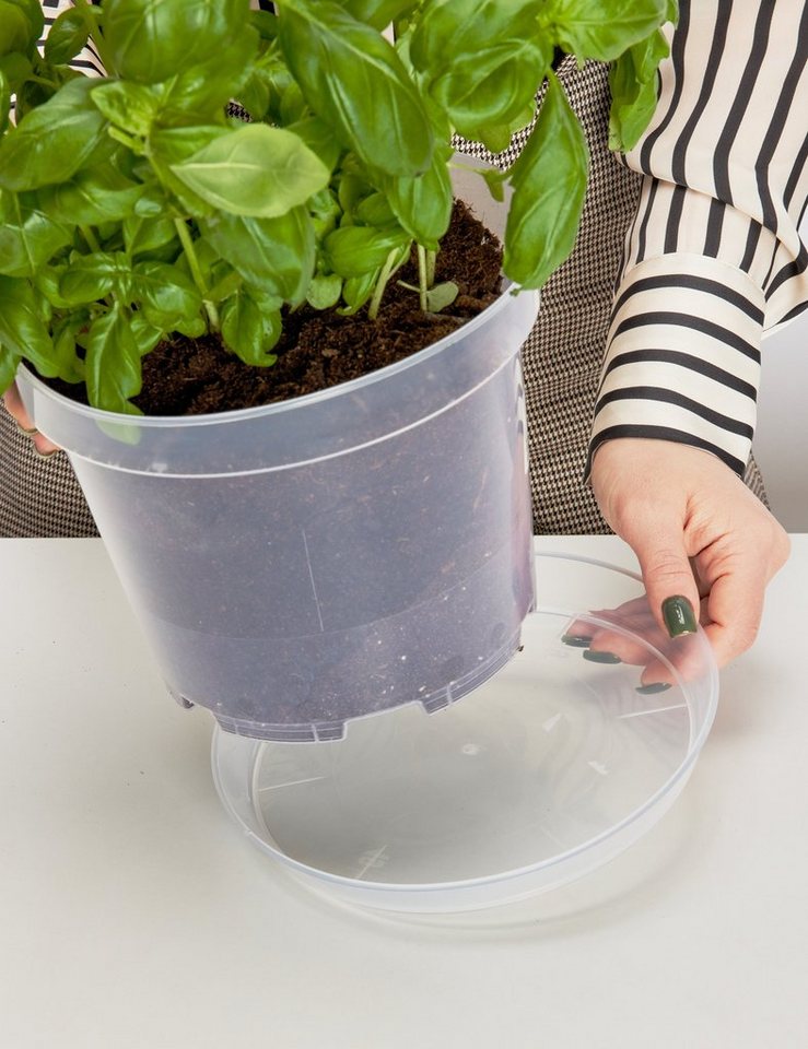 Garronda Blumentopfuntersetzer Blumentopf Untersetzer GD-0026, Zubehör für Blumentopf, 1-tlg. von Garronda