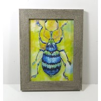 Blauer Rüsselkäfer 7 "x 5" Gerahmt Wohnkultur Büro Faux Präparatoren Wohnzimmer Wandkunst Kinderzimmer Naturwissenschaftliches Geschenk Insekten von Garrott