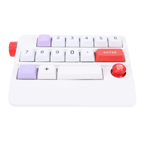 Garsent Mechanische Gaming -Tastatur, eine Handelprogrammierbare Mechanische Tastatur mit 19 Tasten, Kabelgebundene USB -C -Tastatur mit RGB -LED -Hintergrundbeleuchtung, Roller (White) von Garsent