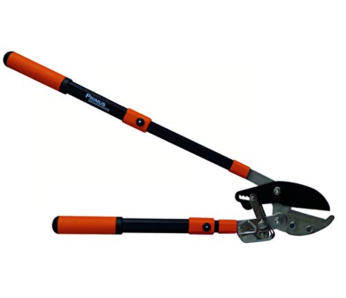 Garten Primus Astschere, Astamboss - Ratschenschere, schwarz / orange, 67 x 28 x 3,5 cm, 01100 von PRIMUS