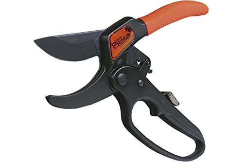 Garten Primus Gartenschere, Rosenschere, Rebschere, Astschere, Ratschenschere, schwarz/orange, 25 x 7,9 x 2,1 cm, 01010 Garten Primus Gartenschere, Rosenschere, Rebschere, Astschere, Ratschenschere, schwarz/orange, 25 x 7,9 x 2,1 cm, 01010 von Garten Primus