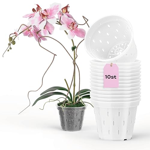 Garten lux 10er-Set Orchideentopfe Transparent D17cm H13cm - Kunststoff Orchideentöpfe mit Löchern-Mesh Pot für Orchideen für den Innenbereich-1.5L von Garten lux