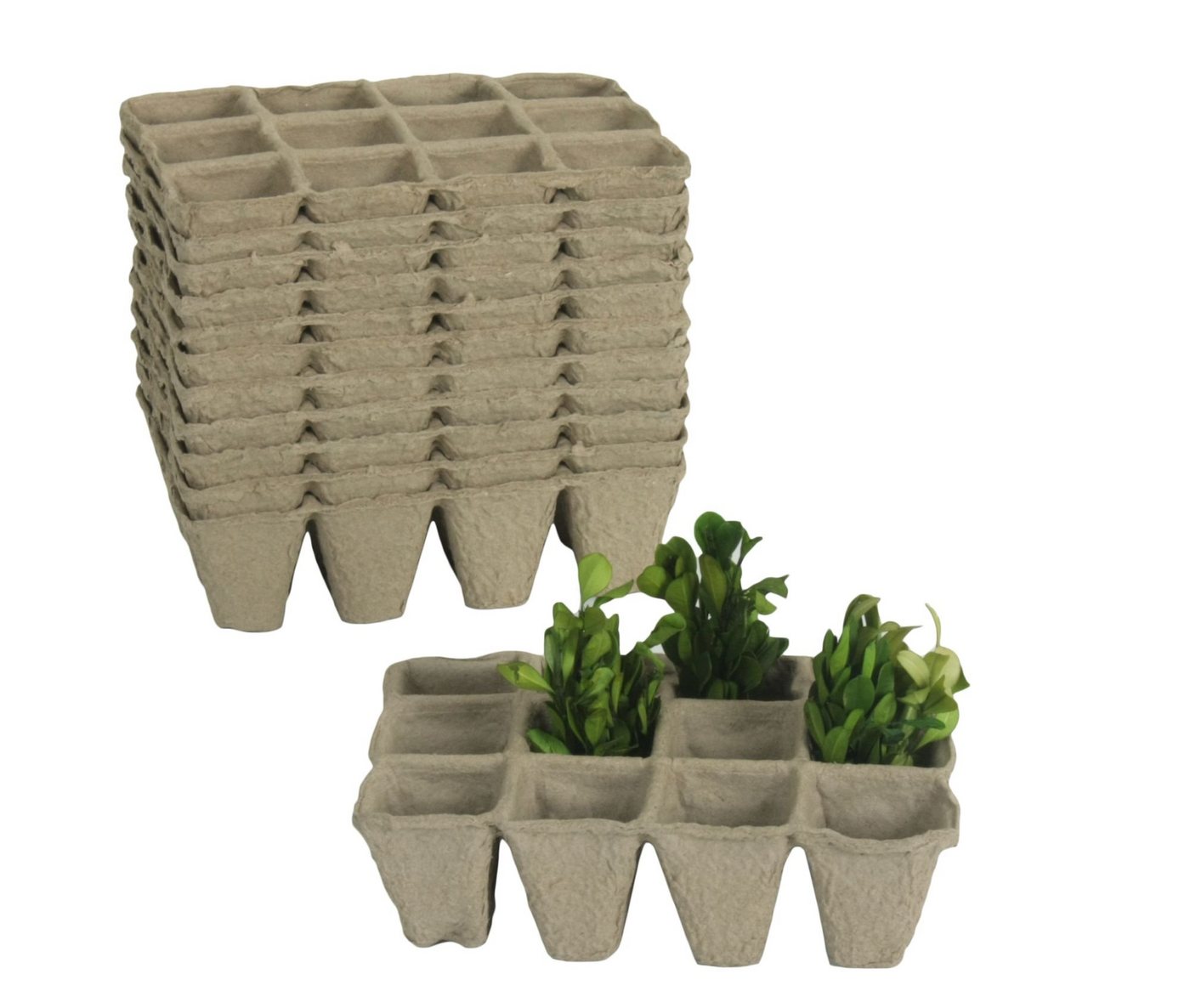 GartenHero Anzuchttopf Anzuchtschale Set kompostierbar Anzuchttöpfe Pikierschale Saatschalen Anzuchtplatte Platte (60 St) von GartenHero