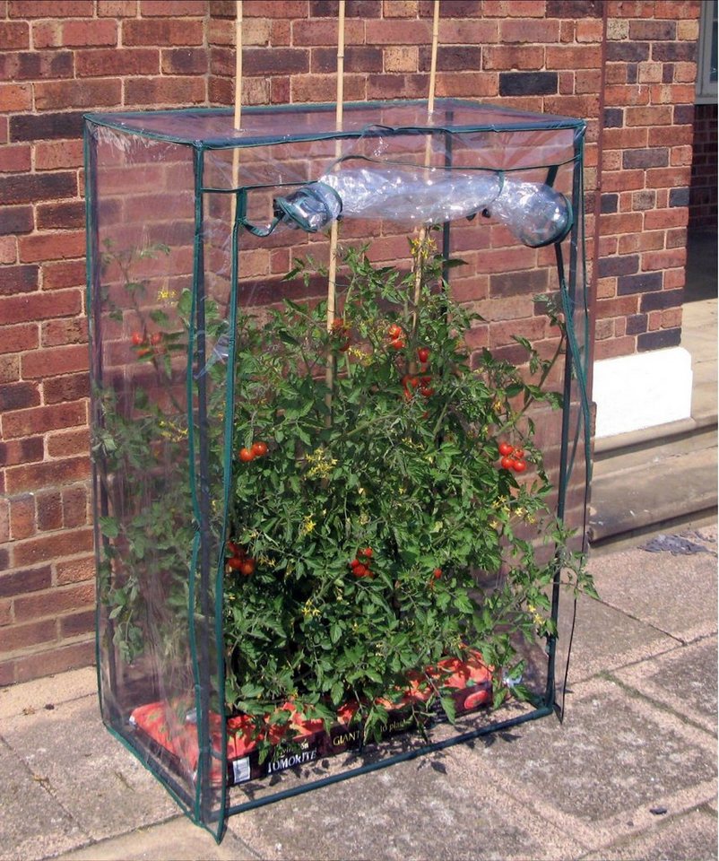 GartenHero Foliengewächshaus Tomaten Gewächshaus Frühbeet Treibhaus Frühbeetkasten Tomatenhaus, BxTxH: 101 x 51,5 x 148,50 cm von GartenHero