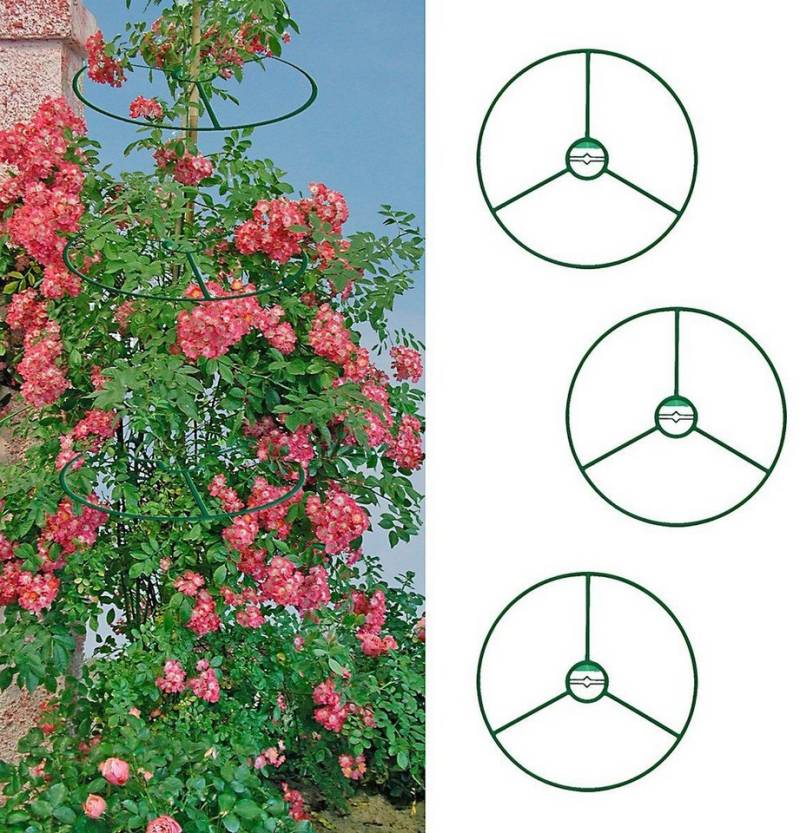 GartenHero Rankhilfe Rankhilfe Pflanzenstütze Staudenhalter Staudenstütze Pflanzenhalter Rankstab, 9 St. von GartenHero