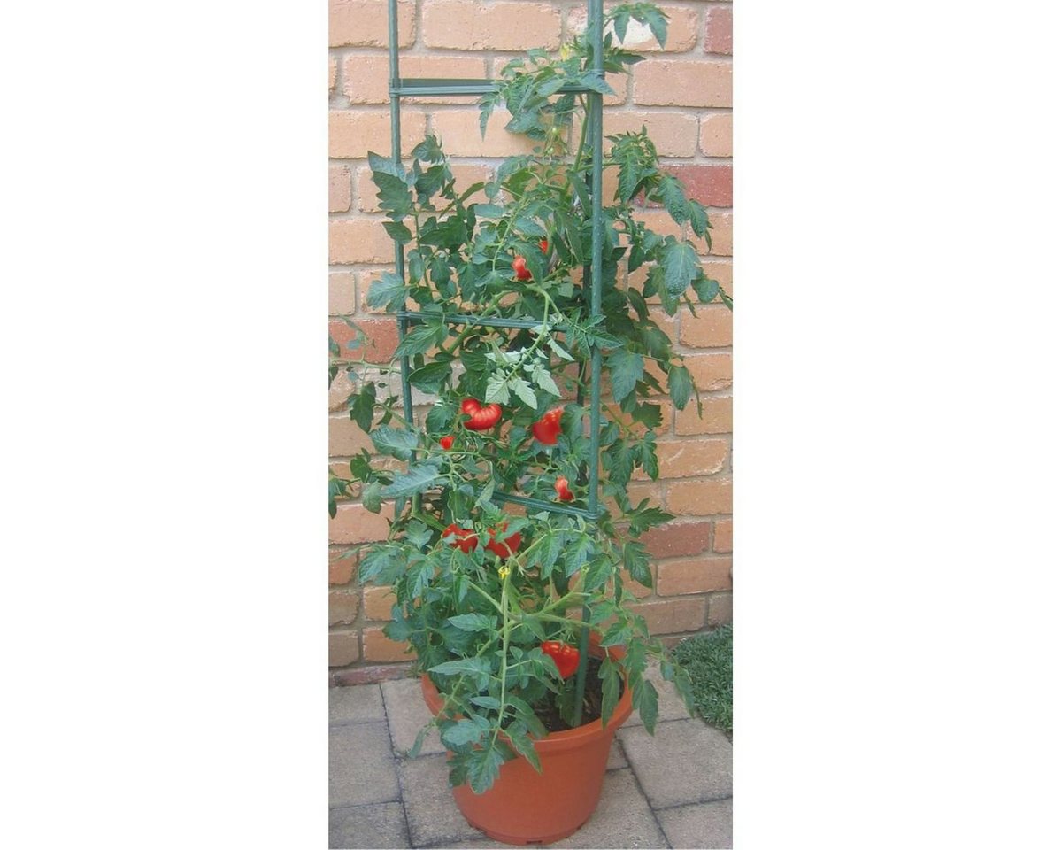 GartenHero Rankhilfe Tomatenkäfig Rankhilfe Tomaten Rankstab Rankgitter Rankkorb Rankstab Spiralstab, 5 St., Tomatenkäfig, Rankgitter, Rankkorb, Rankhilfe von GartenHero